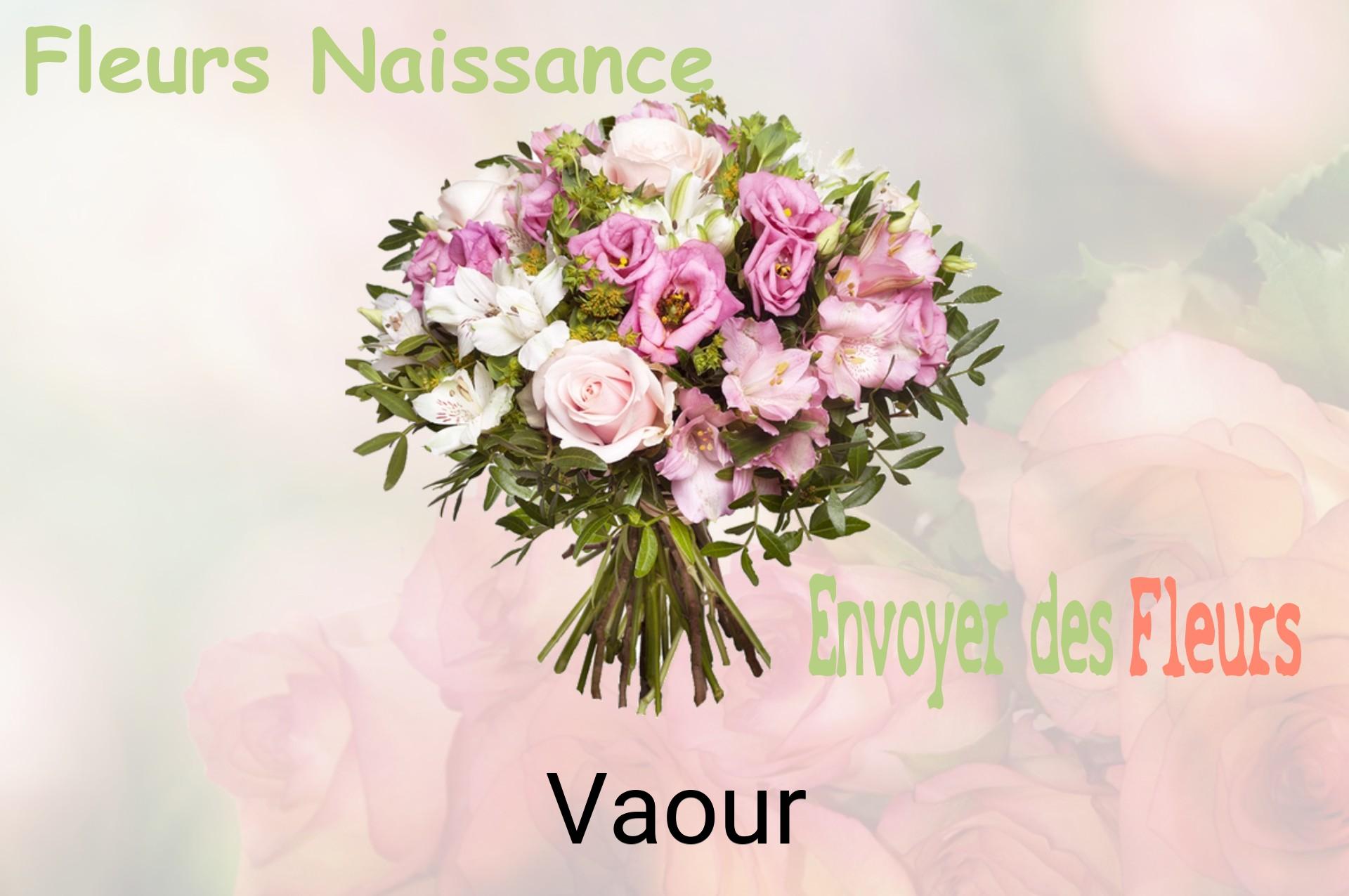 Bouquet de fleurs de naissance livré à Vaour